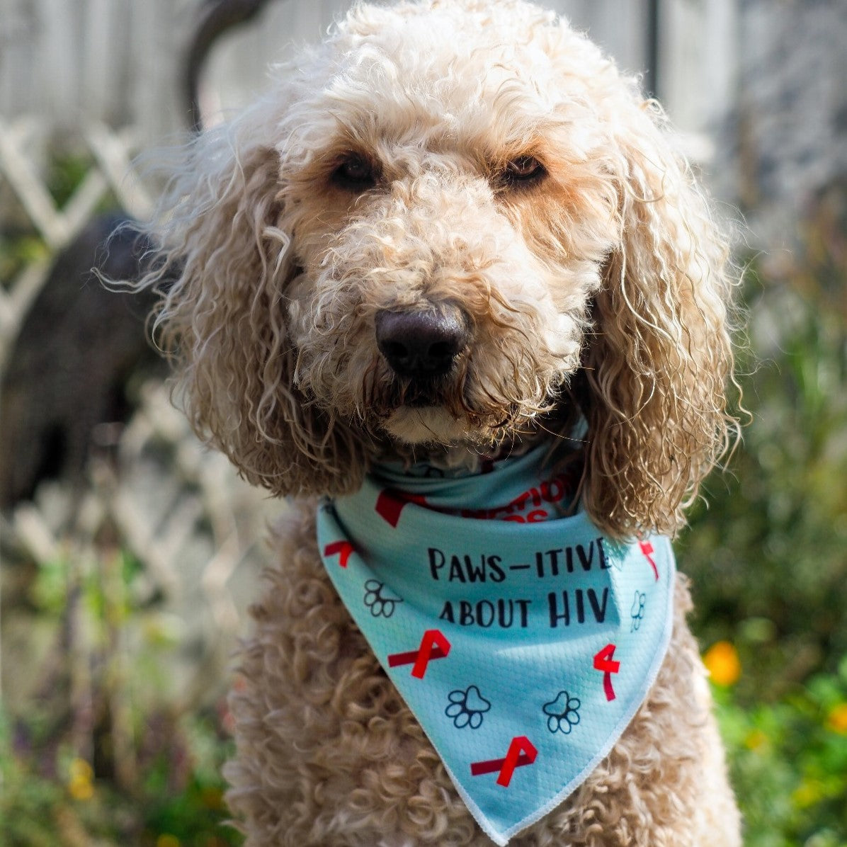 Cooling Dog Bandana